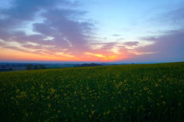 Fotos Nature — Stock Photo, Image