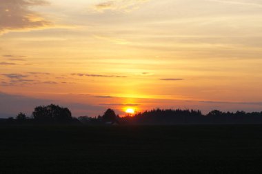 My fotos from Nature