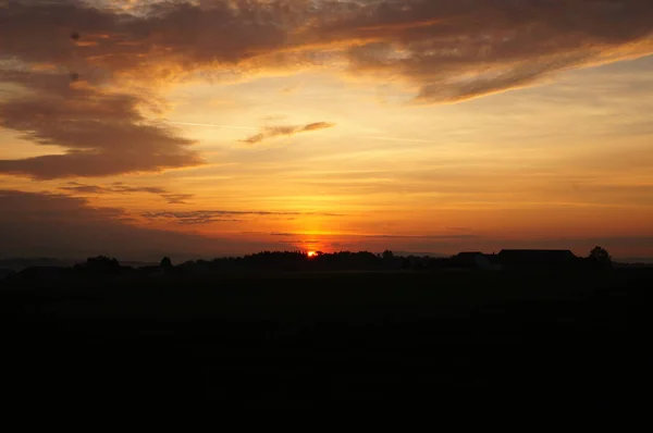 My fotos from Nature