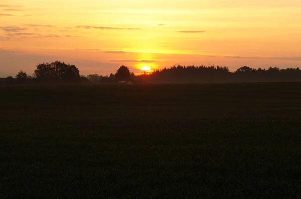 My fotos from Nature