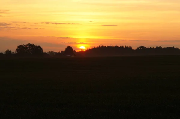 Fotos Nature — Stockfoto