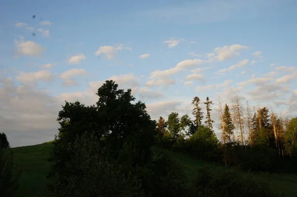 My fotos from Nature
