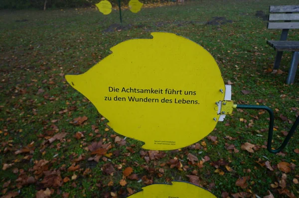 Travel nature and fotos from forest and feld