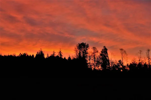 Travel nature and fotos from forest and feld