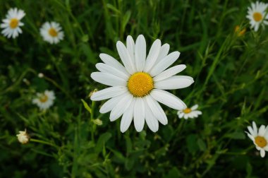 Benim fotolarım Seyahat ve Doğa