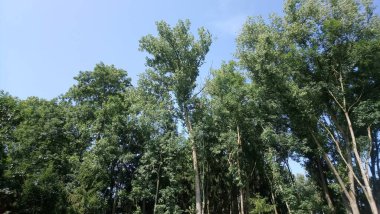 Benim fotolarım Seyahat ve Doğa