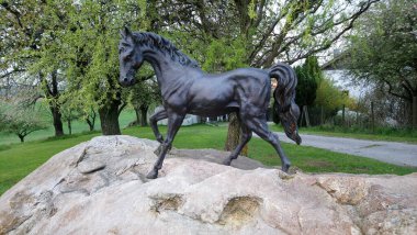 Benim fotolarım Seyahat ve Doğa