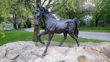 Benim fotolarım Seyahat ve Doğa