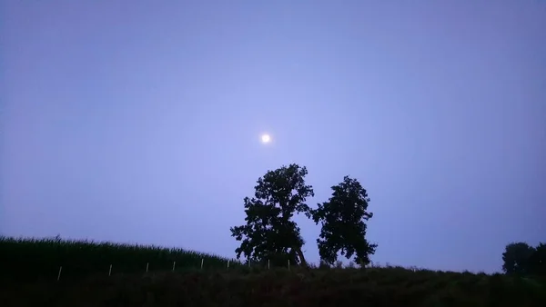 Moje Zdjęcia Podróże Natura — Zdjęcie stockowe