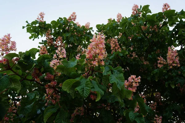 My fotos from nature and travel
