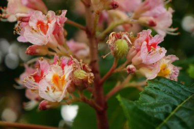 Doğadan gelen fotoğraflarım ve seyahatlerim.