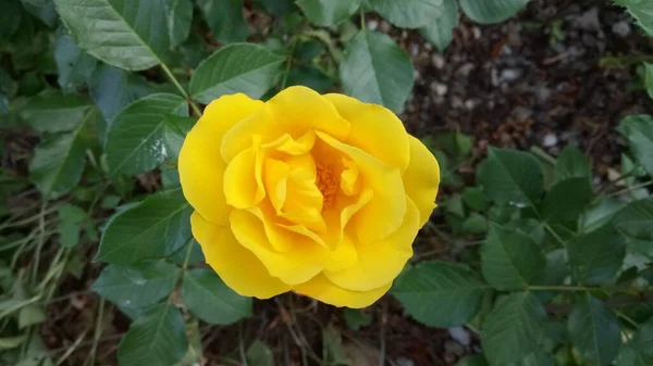 My fotos from nature and travel