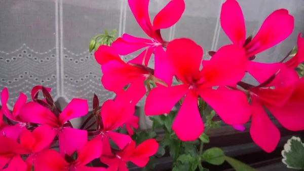 My fotos from nature and travel