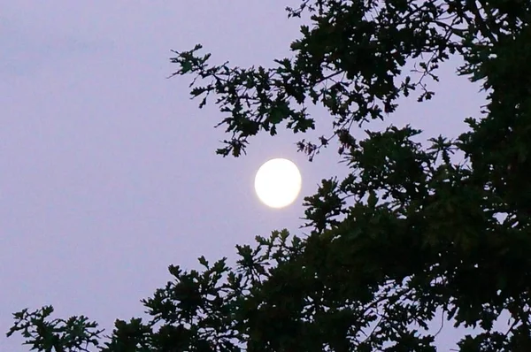 My fotos from nature and travel