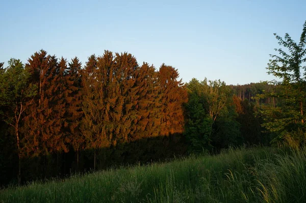 My fotos from nature and travel