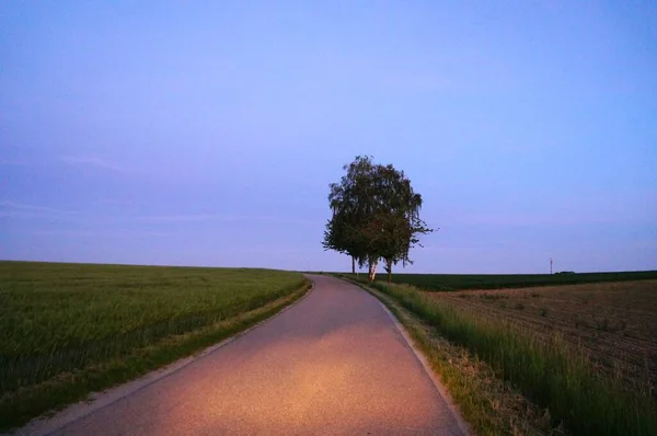 My travels and photos of nature and animals
