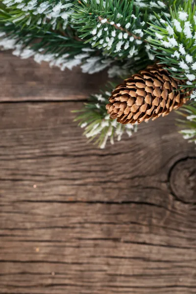 圣诞节树的分支 — 图库照片