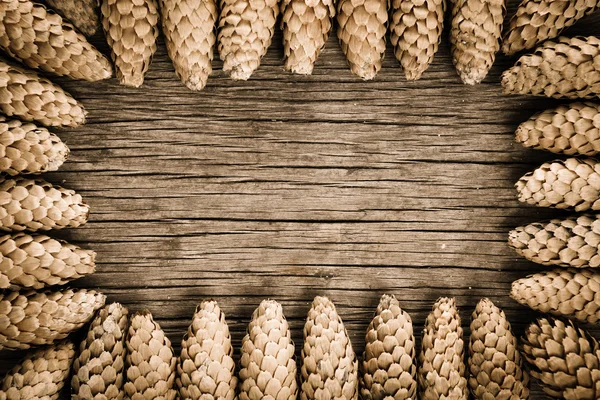 Frame from cones — Stock Photo, Image