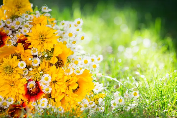 Boeket bloemen — Stockfoto