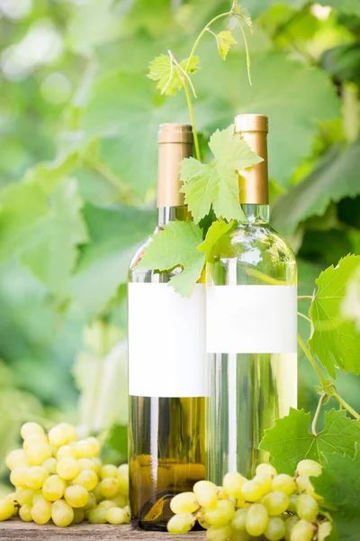 Vino blanco — Foto de Stock