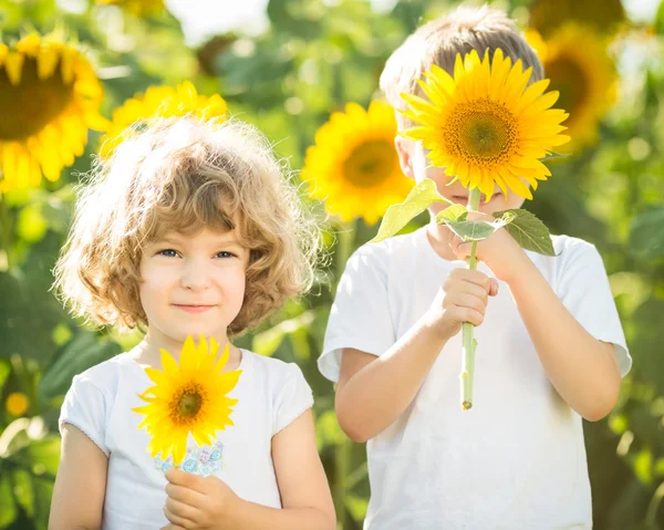 Happy children playing with sunflowers Royalty Free Stock Photos