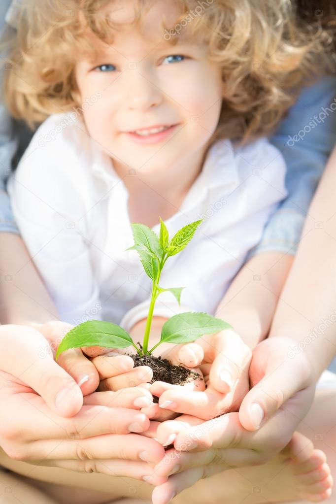 Young tree in hands