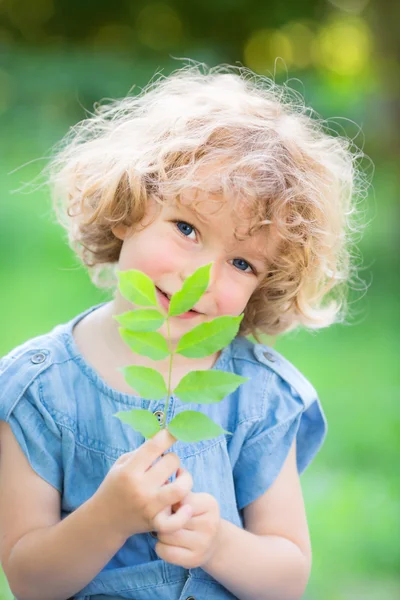 Jeune plante sur fond vert — Photo