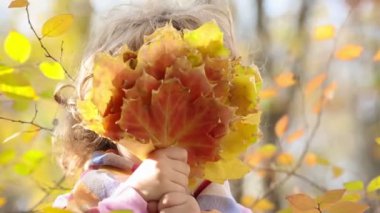 küçük kız bir sürü sonbahar tutan yaprakları