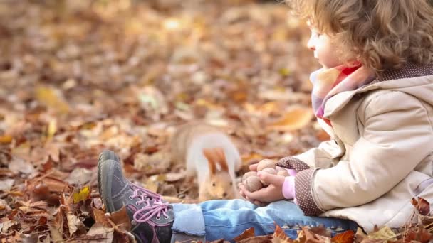 Criança feliz alimenta um pequeno esquilo no parque de outono — Vídeo de Stock