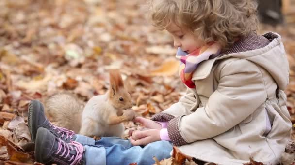 Gelukkig kind voedt een weinig eekhoorn in herfst park — Stockvideo