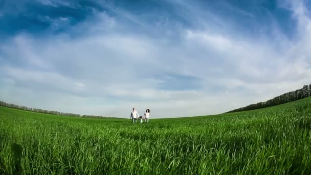 Happy family walking in summer field — Stock Video