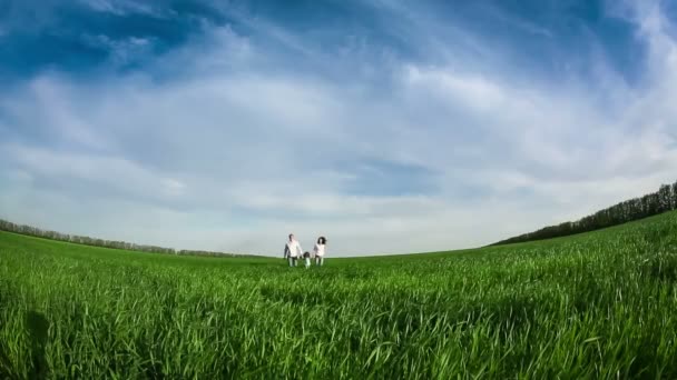 Felice famiglia a piedi nel campo estivo — Video Stock