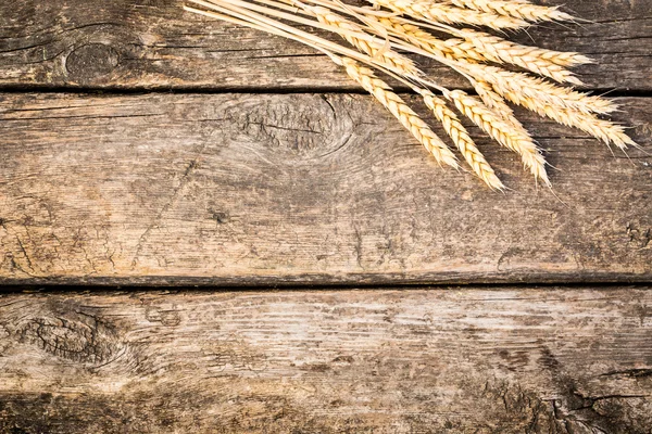 Autumn wheat on old wood texture — Stock Photo, Image
