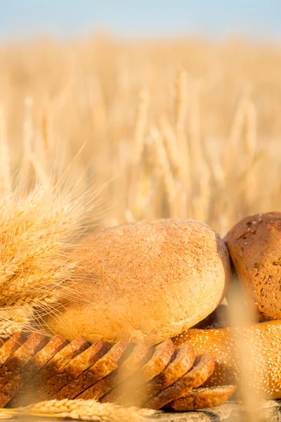 Bread and wheat on the wooden table — Stock Photo, Image