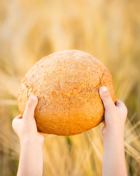 Хліб в руках — стокове фото