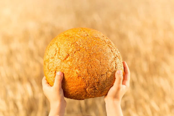 Házi kenyér a kezek — Stock Fotó