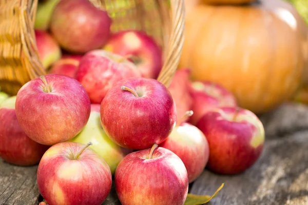 Fruits et légumes en automne — Photo