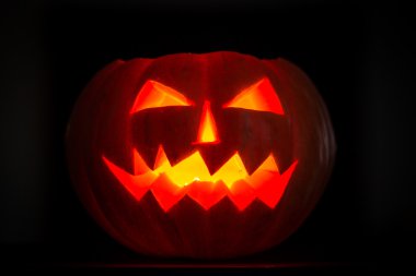 Scary halloween pumpkins jack-o-lantern mum yaktı