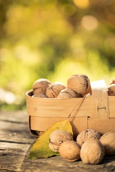 Cesto di noci in autunno — Foto Stock