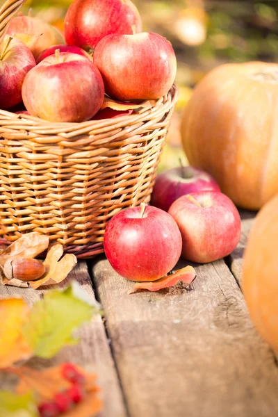 Groenten en fruit in de herfst — Stockfoto