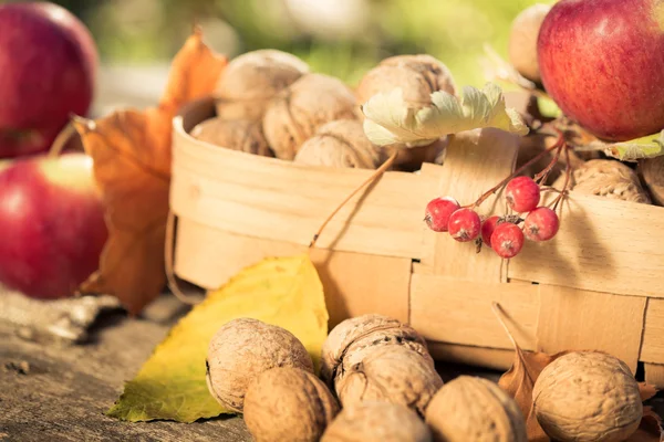 Fruits and vegetables in autumn — Stock Photo, Image