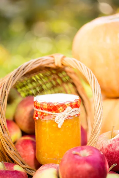 Fruits and vegetables in autumn — Stock Photo, Image