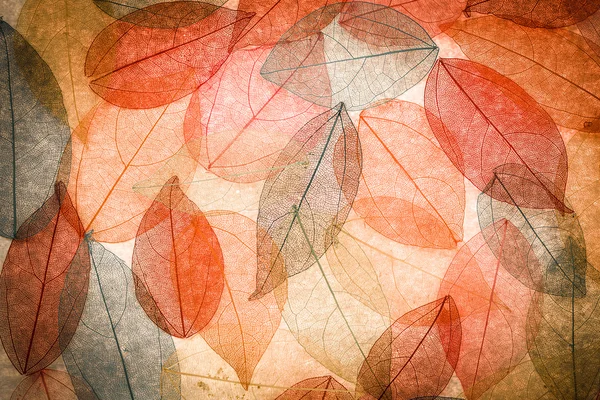 Fondo abstracto de otoño — Foto de Stock