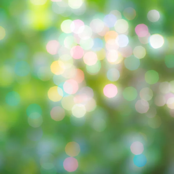 Primavera Bokeh — Foto Stock