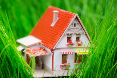 ev yeşil çimenlerin üzerinde