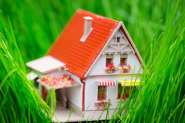 House on green grass — Stock Photo, Image