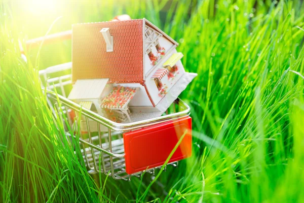 House in shopping cart — Stock Photo, Image