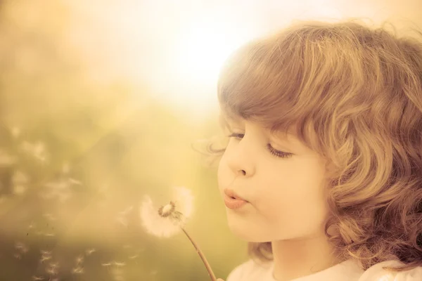 Niño feliz soplando diente de león — Foto de Stock