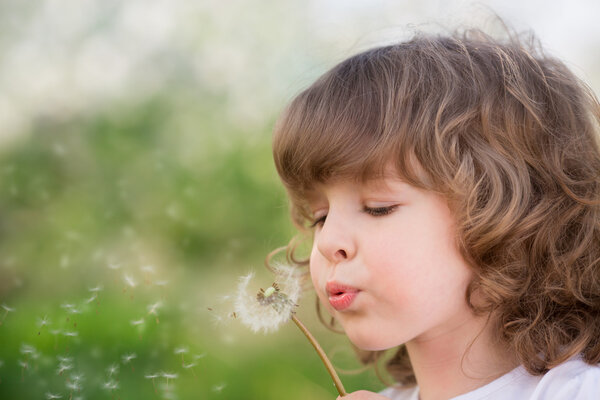 Happy child blowing dandelion