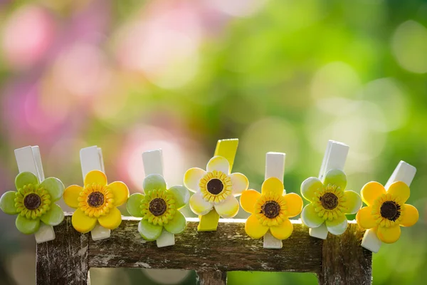 Florale decoraties — Stockfoto